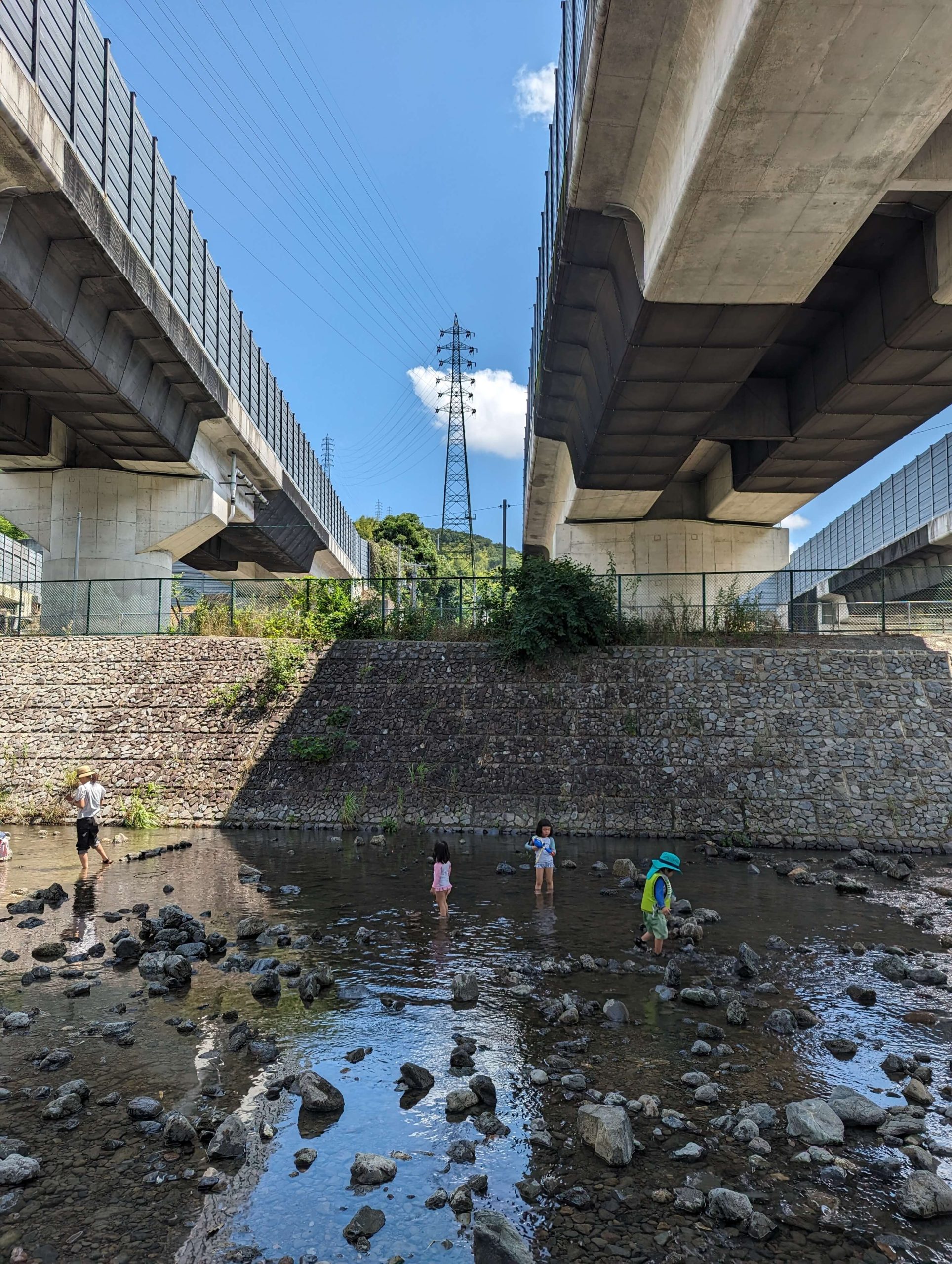 水無瀬川で川遊びする子どもたち
